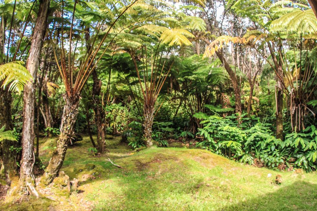 Volcano Village Lodge Rum bild