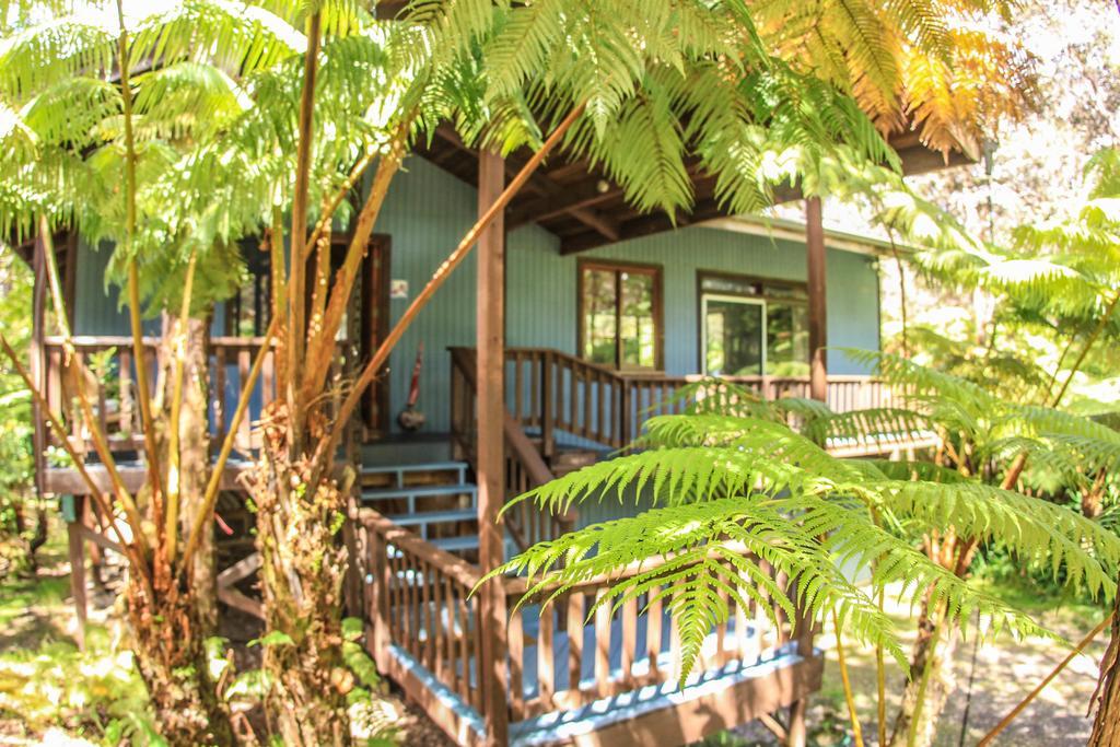 Volcano Village Lodge Rum bild